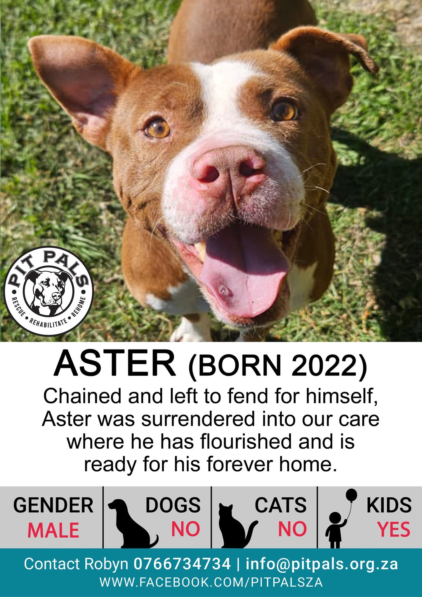 Sponsor Aster