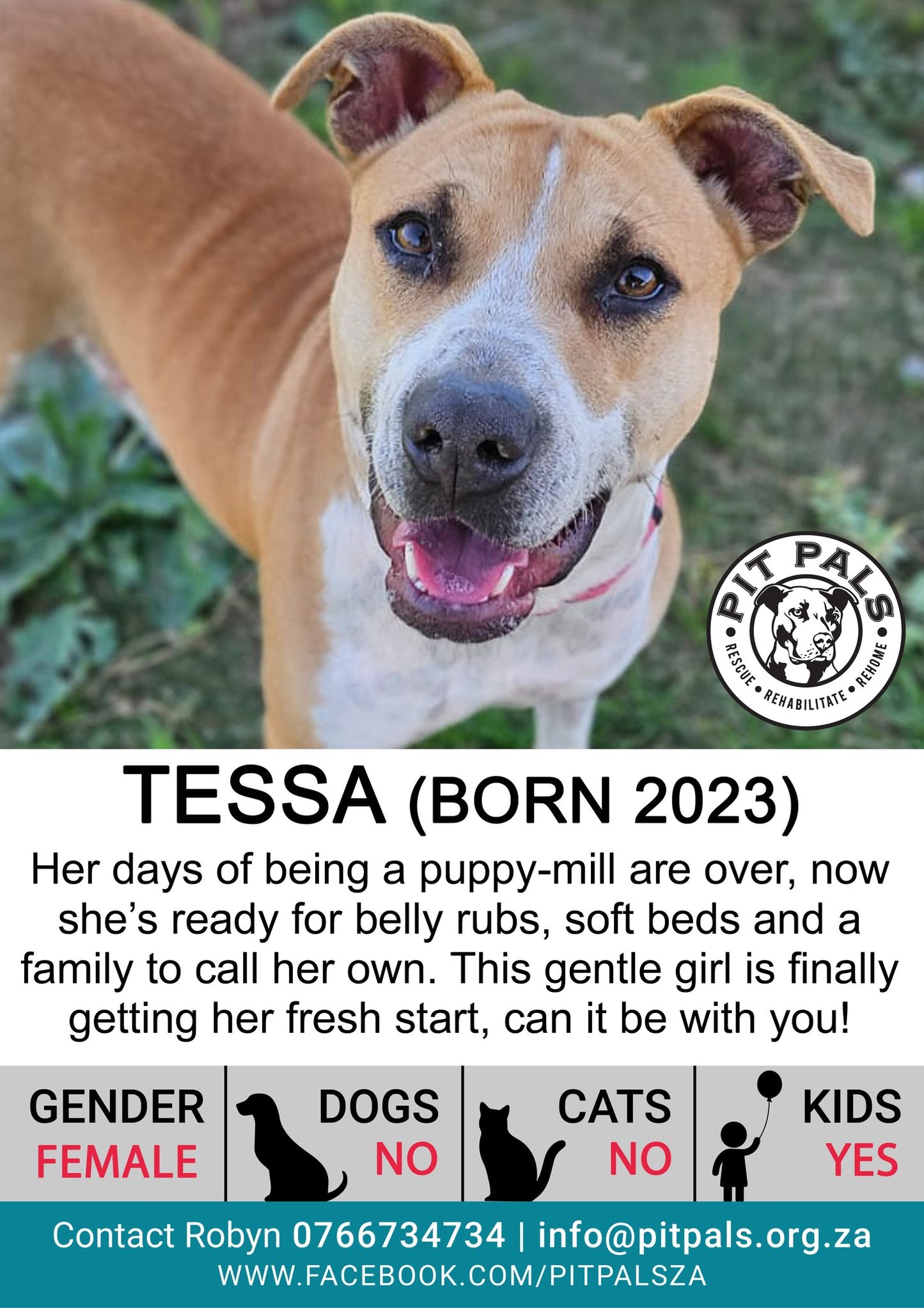Sponsor Tessa