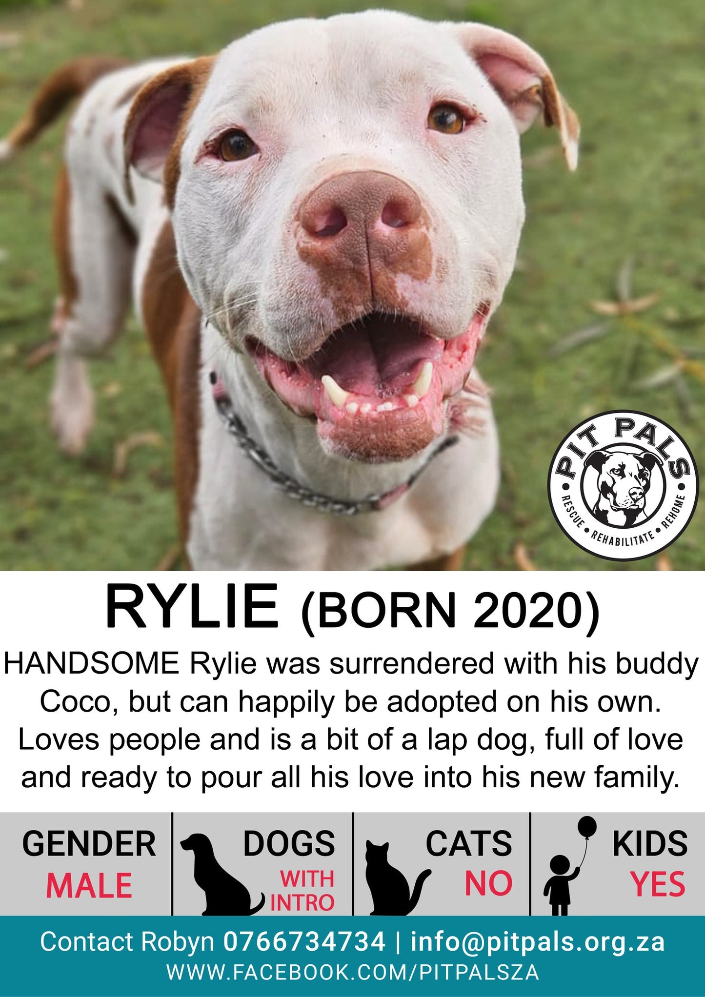 Sponsor Rylie