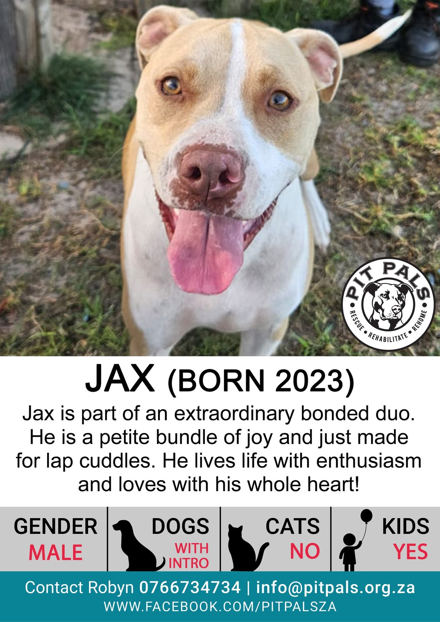 Sponsor Jax