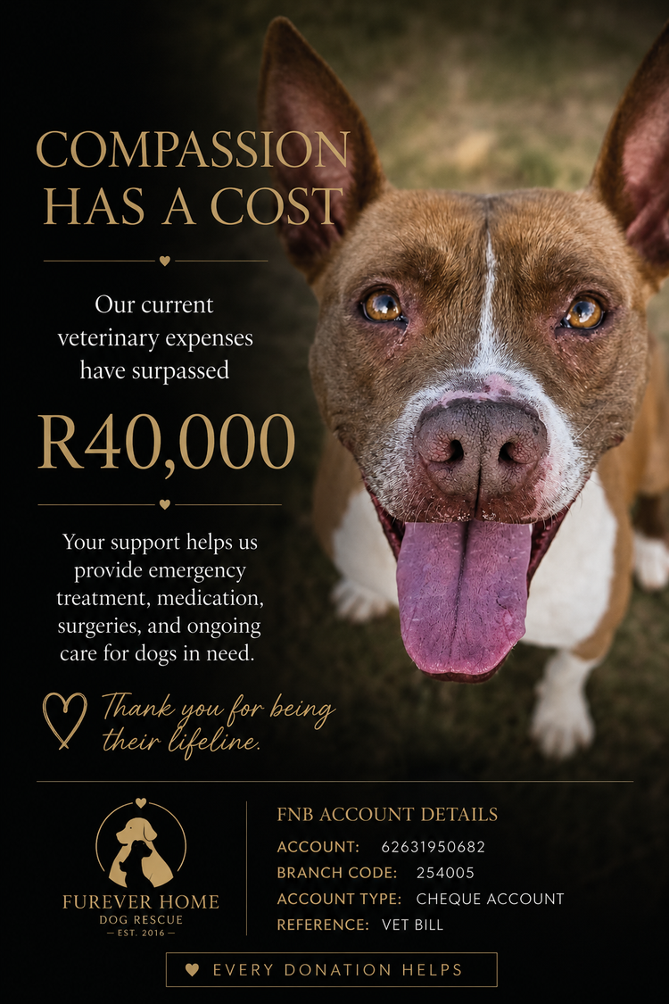 Sponsor our monthly vet bills