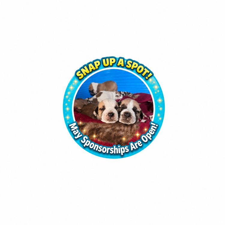 Sponsor a Dog for May 2026