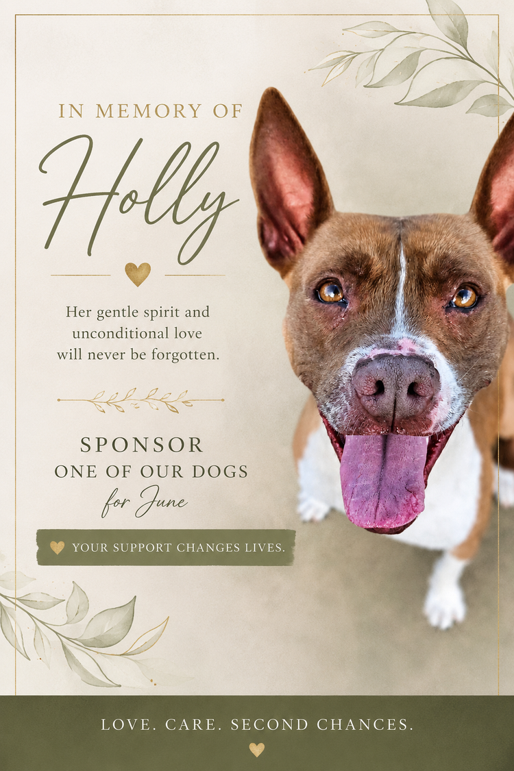 Sponsor a Dog for June 2026
