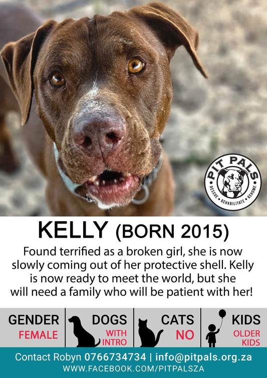 Sponsor Kelly