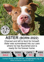Sponsor Aster