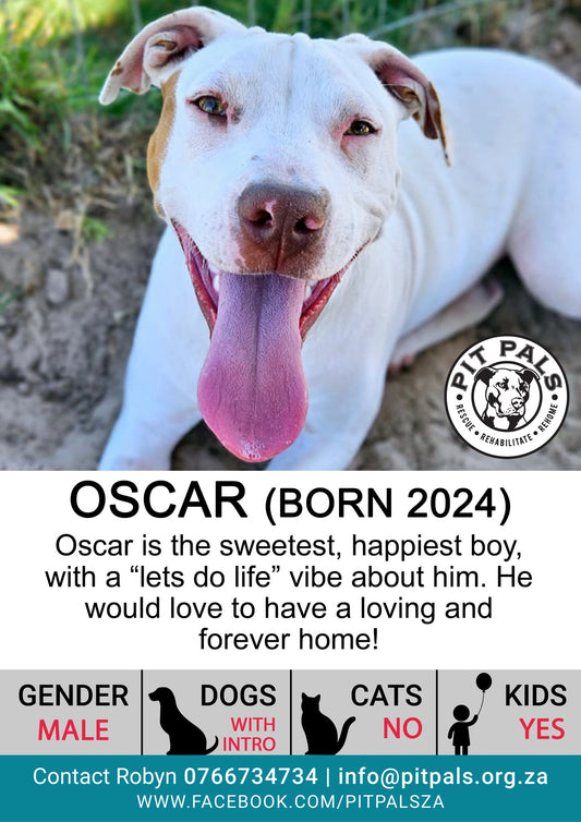 Sponsor Oscar