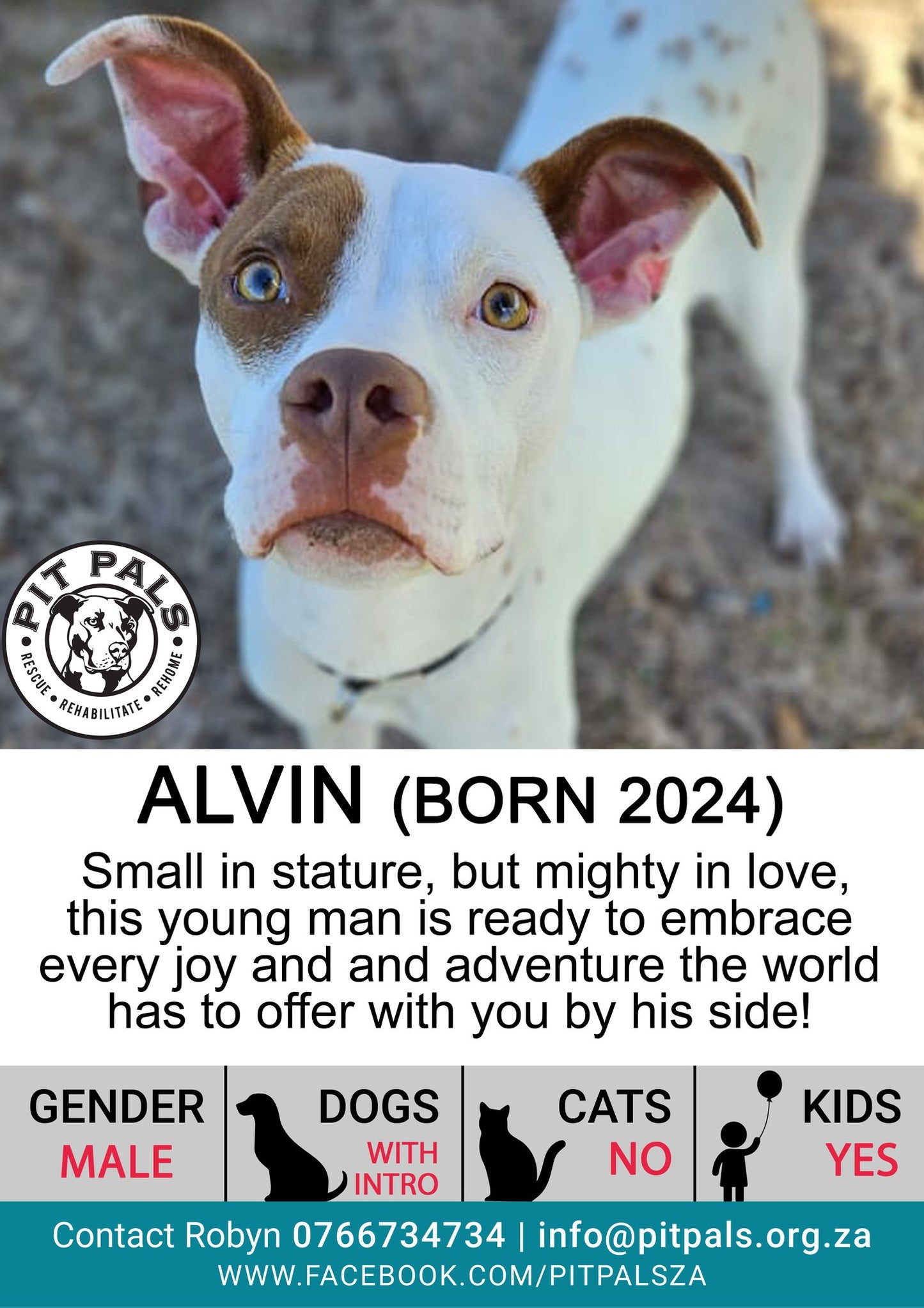 Sponsor Alvin