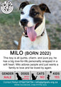 Sponsor Milo