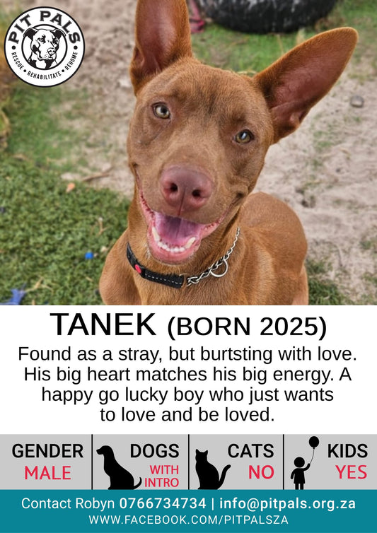 Sponsor Tanek