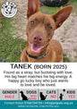Sponsor Tanek