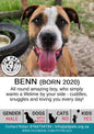 Sponsor Benn