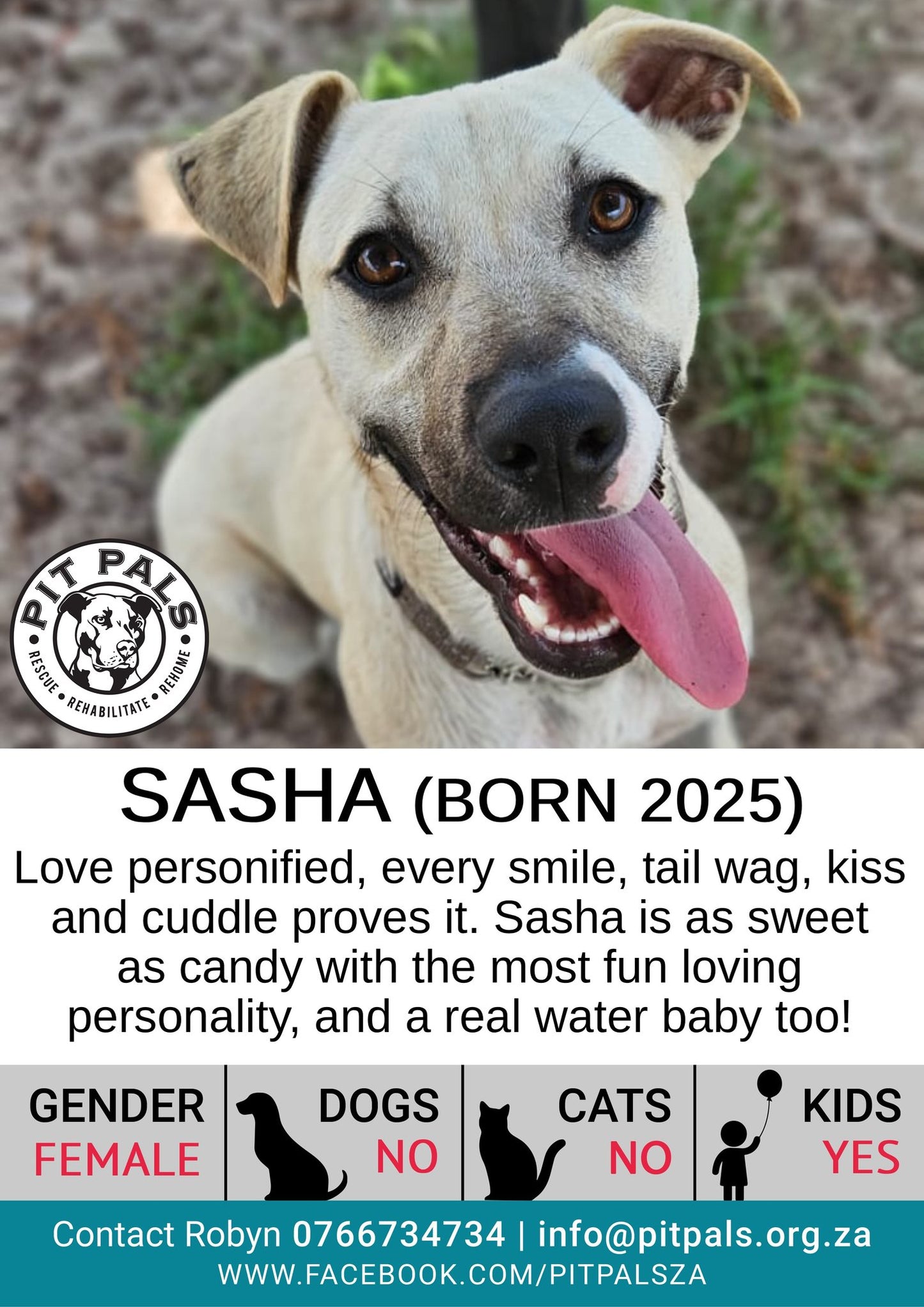 Sponsor Sasha