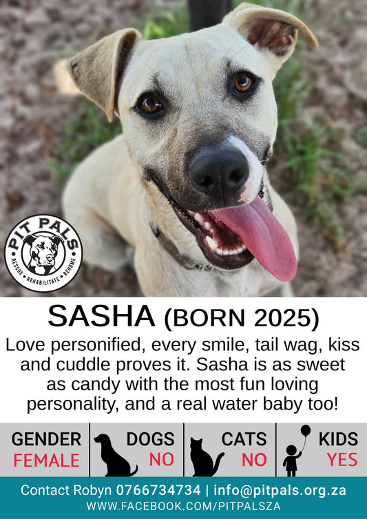 Sponsor Sasha