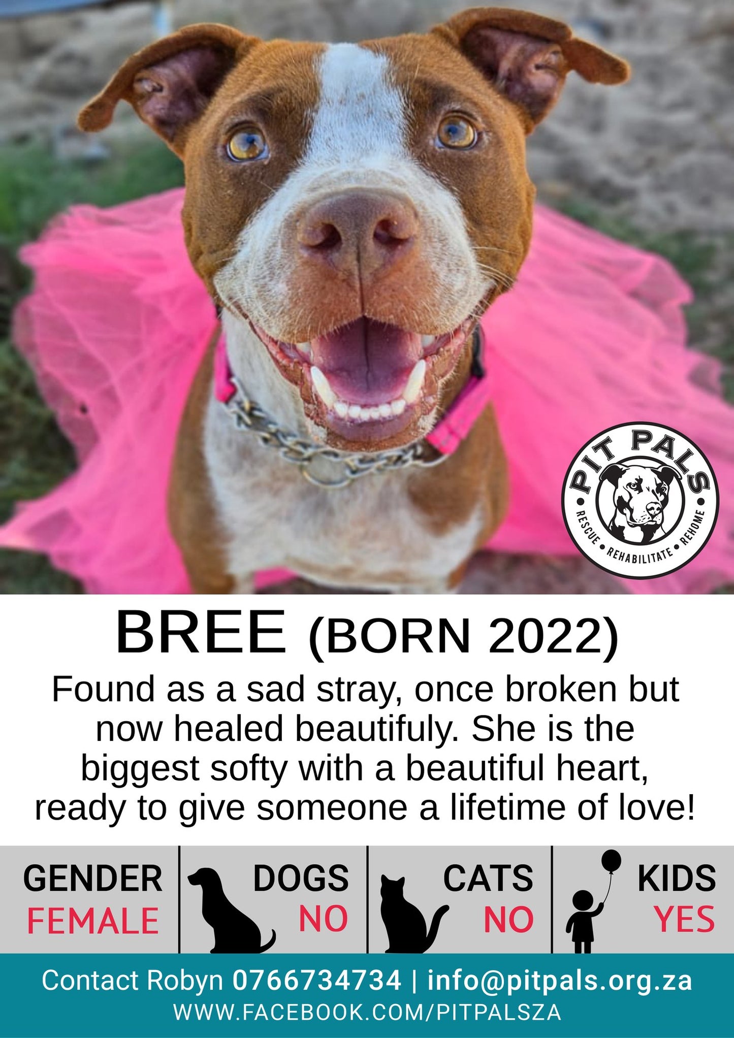Sponsor Bree