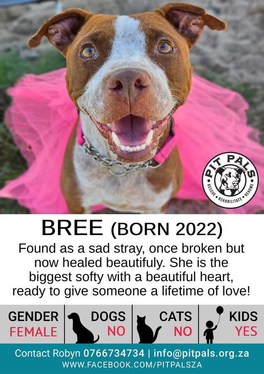 Sponsor Bree
