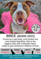 Sponsor Bree