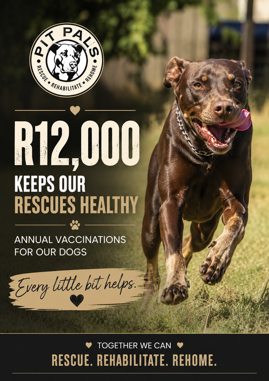 Vaccination  September 2026