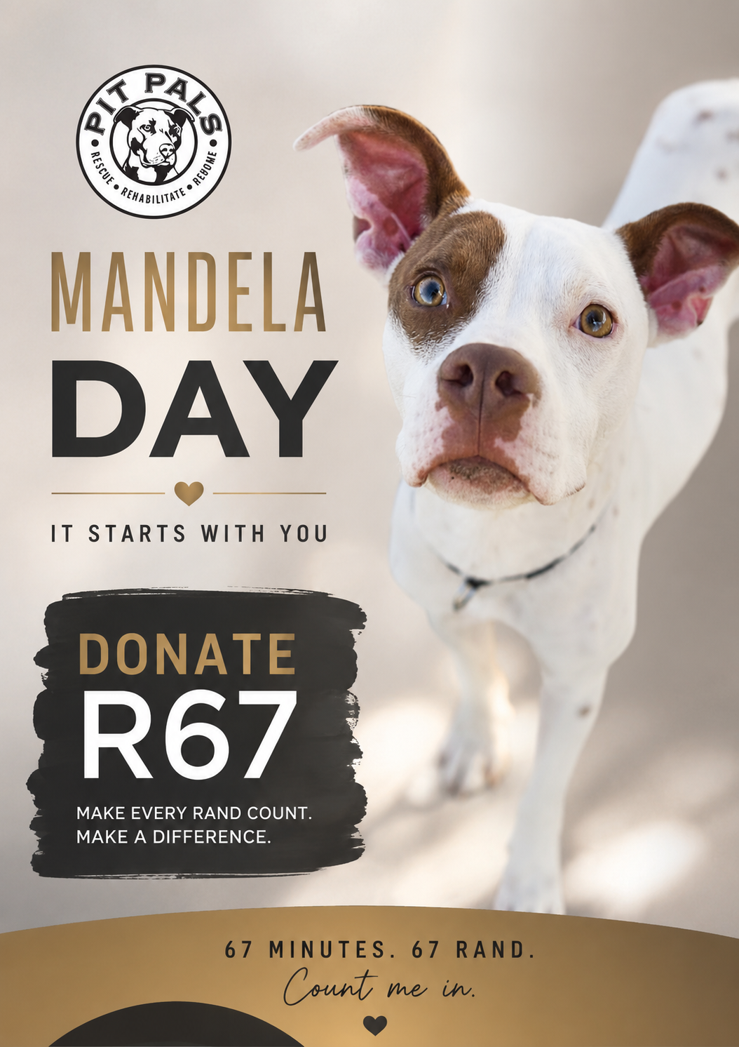 Mandela Day contribution !