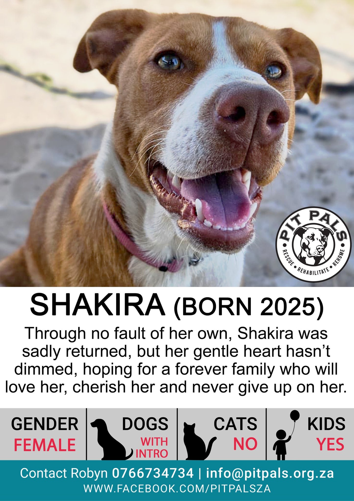 Sponsor Shakira