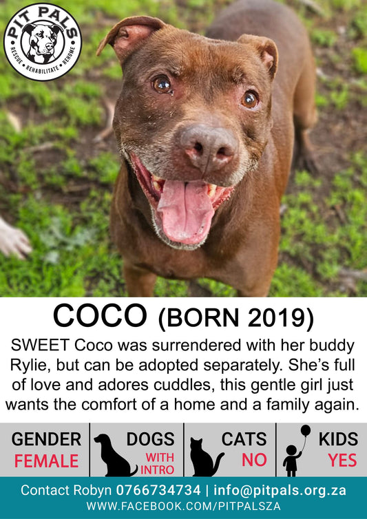 Sponsor Coco