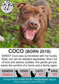 Sponsor Coco